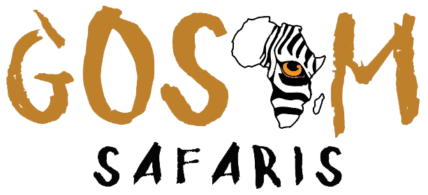 Gosam Safaris